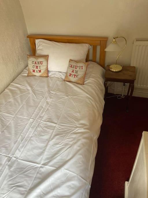 Lovely Peaceful 2 Bed Cottage Llandderfel Dış mekan fotoğraf