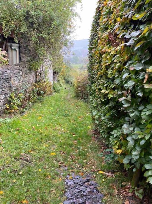 Lovely Peaceful 2 Bed Cottage Llandderfel Dış mekan fotoğraf